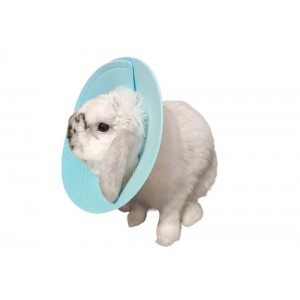Kołnierz pooperacyjny Fit4Pets dla gryzoni na rzep niebieski