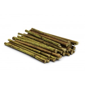 Młode pędy topinamburu Dr Rodents 100g