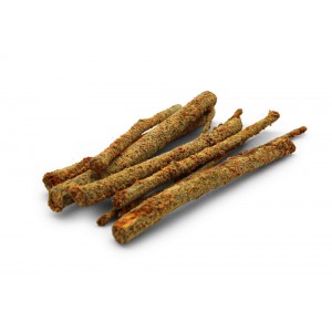 Młode pędy leszczyny Dr Rodents z marchewką 50g