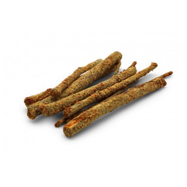 Młode pędy leszczyny Dr...