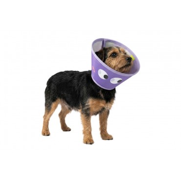 Kołnierz pooperacyjny...